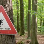 Beware of ticks sign posted in forested area.
