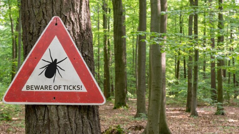 Beware of ticks sign posted in forested area.