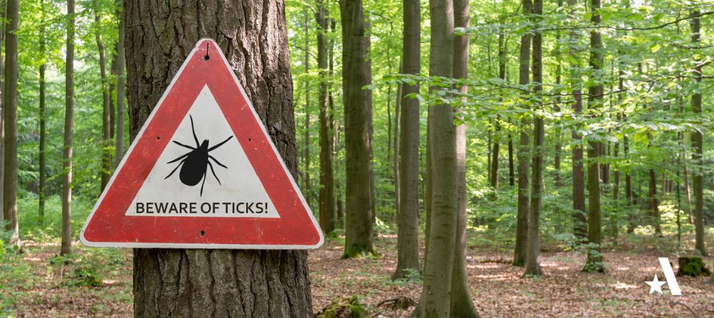 Beware of ticks sign posted in forested area.